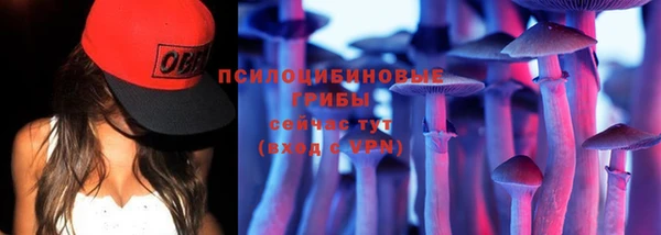дмт Краснослободск