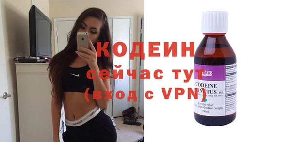 дмт Краснослободск