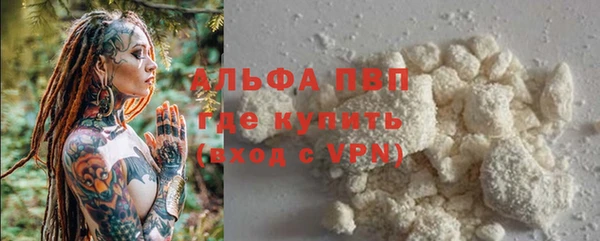 дмт Краснослободск
