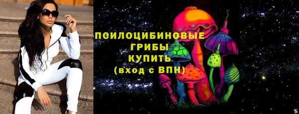 дмт Краснослободск