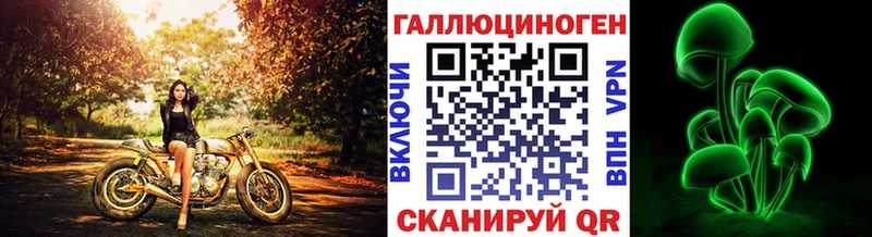 Купить закладки  Дальнегорск  Псилоцибиновые грибы ЛСД 